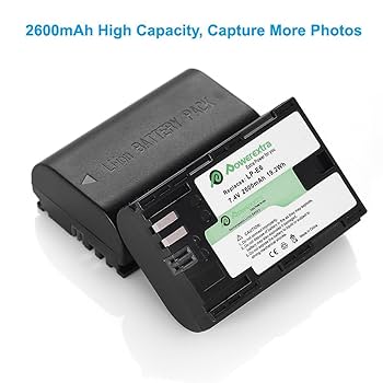 canon lp-e6p 2個 Canon LP-E6P Battery (2-Pack) and Dual