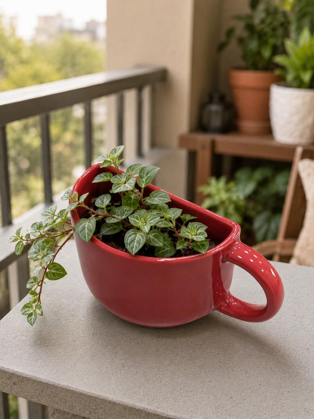 Sprout Ceramic Half Cup Planter, Flower Pot, Plant Container Set | Perfect for Decor in Home, Office, Kitchen, Balcony, Restaurant, Cafe | Glazed Colours - Set of 1 (Red)-image-6