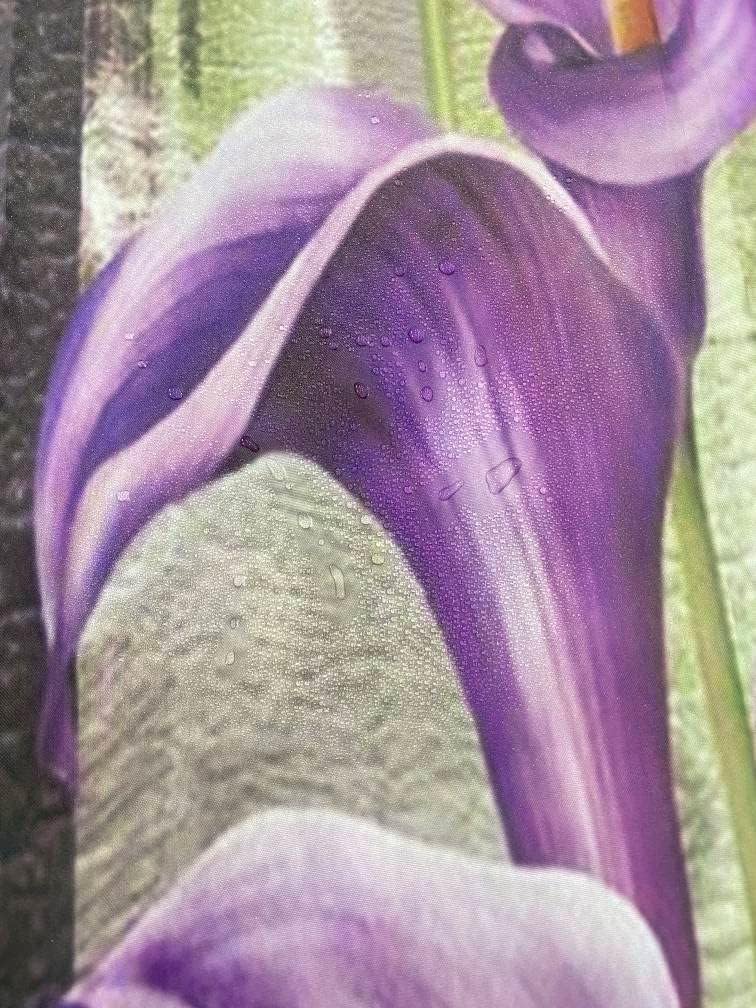 Unique Design Bathroom Shower Curtain Set with Rug Mat and Hooks for Bathroom Textured Bath Shower Curtain 72 x 72 Purple Flowers Artistic Elegance Bathroom Curtain