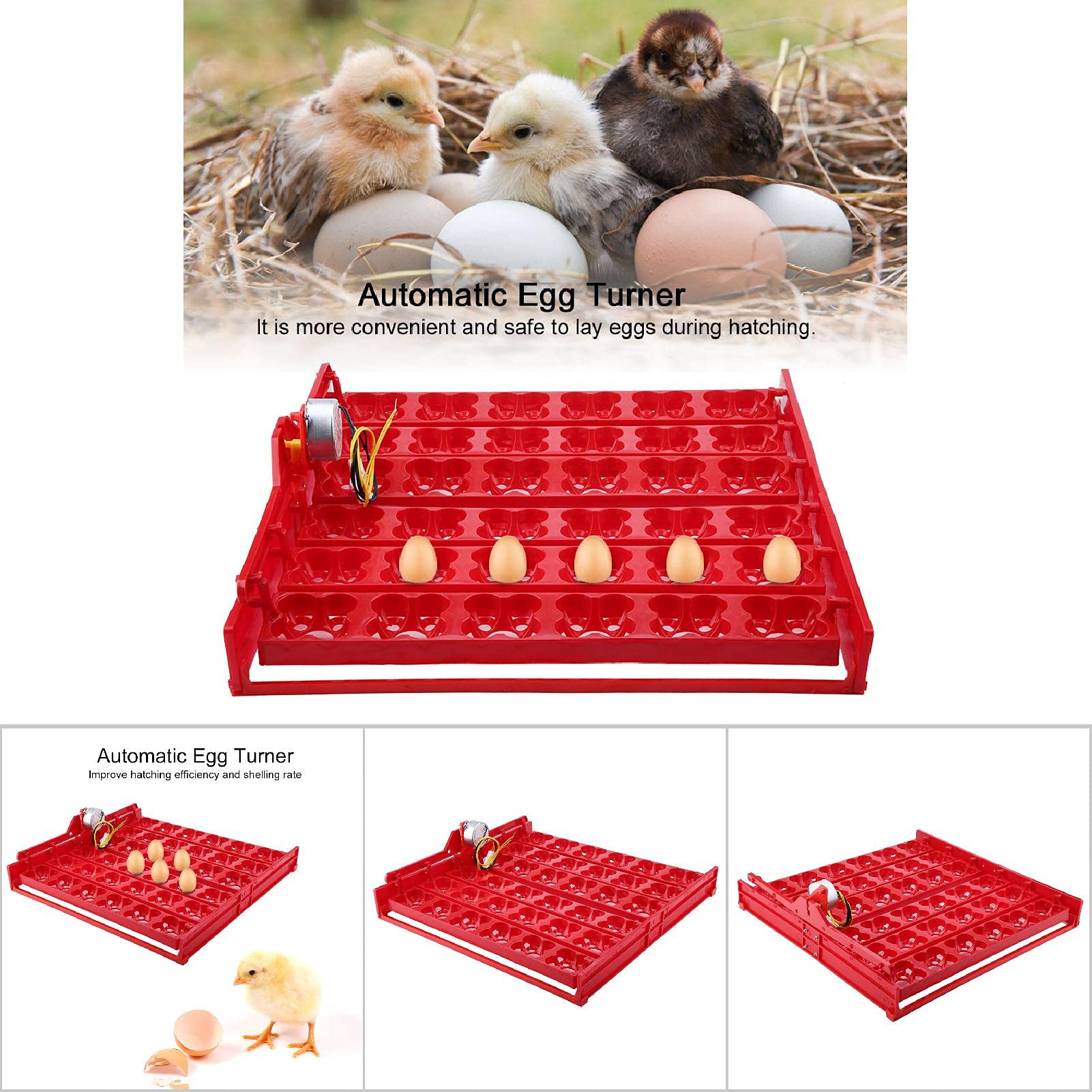 Tyenaza Bandeja Volteo Incubadora, 36 huevos/144 incubadora de Huevos de Pollo Incubadora Automática Pato Codornices Aves Aves de Corral Bandeja de al Incubadora de Huevos(43 x 41,7 x 5,2 cm)