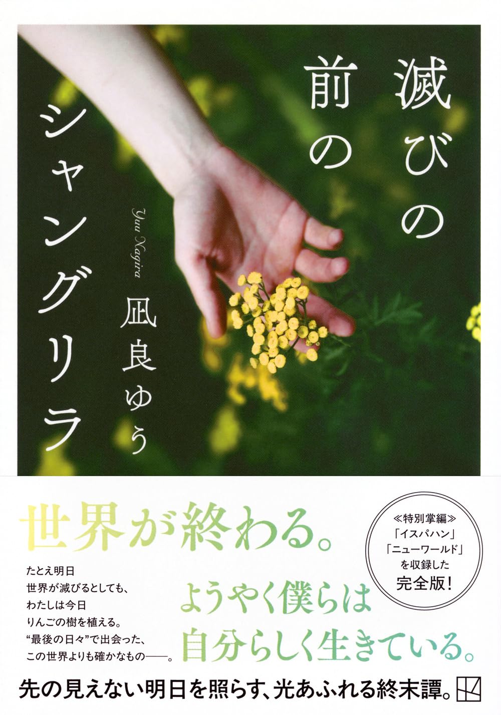 Amazon.co.jp: 凪良ゆう: 本、バイオグラフィー、最新アップデート