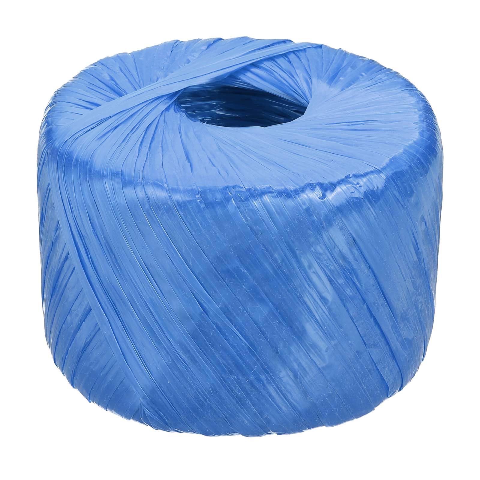 PATIKIL 400m Polyester Nylon Plastic Rope, Twine Household Bundles Ropes Roll for Gardening Packing Crafting DIY, Blue