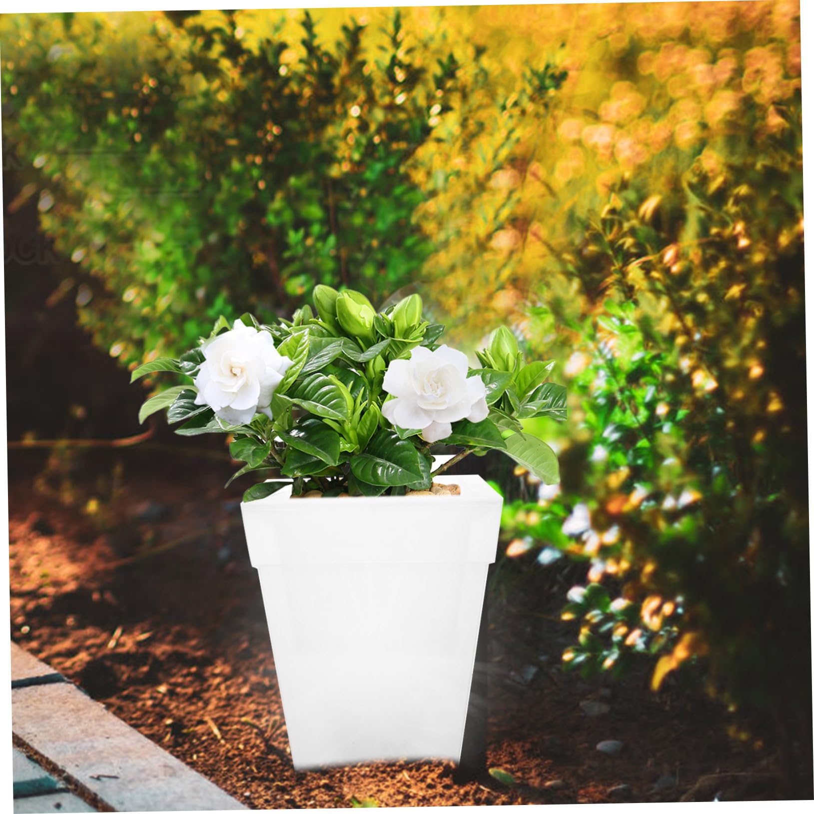 Homoyoyo Fioriera Solare da Giardino Quadrata 4 LED Luce Bianca in Plastica per Piante Decorazione Esterna e Festa in Cortile Ip44