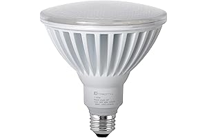 Xtricity: High Lumen Outdoor Flood Light