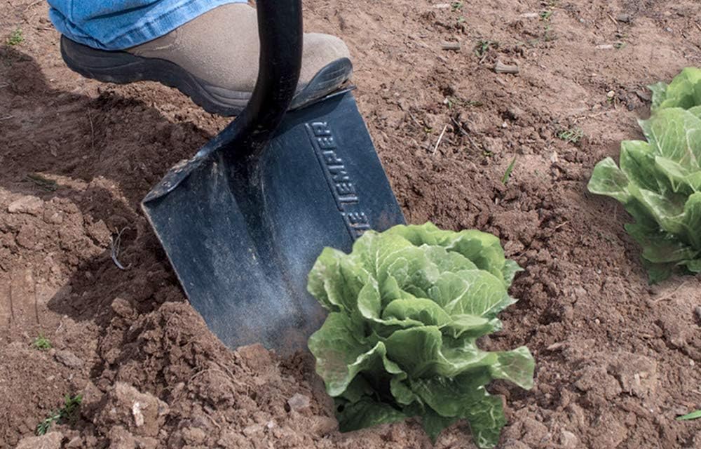 The Ames Companies, Inc 2585600 True Temper Forged Round Point Digging Shovel