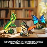 Ver la foto 8