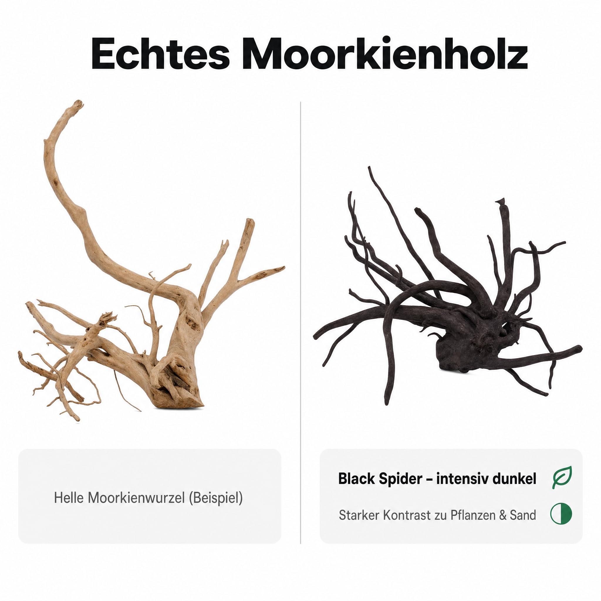 AquaOne Aquarium Wurzel Black Spider L 35–50 cm, Moorkienholz schwarz gefärbt, filigran verzweigt, für Aquascaping & Aufsitzerpflanzen, handverlesenes Unikat für Süßwasseraquarien und Terrarien