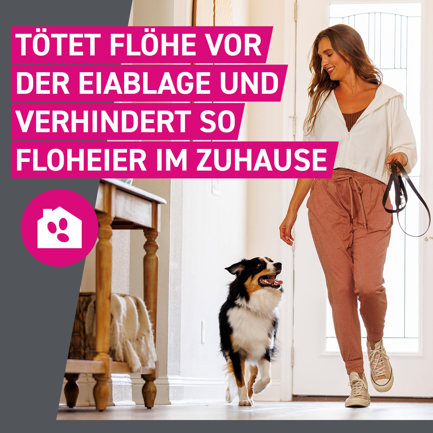 FRONTLINE TRI-ACT Hund XL gegen Zecken, Flöhe & Mücken (40 bis 60 kg) | 6+3 Pipetten (2er Pack) für bis zu 9 Monate Schutz - wasserfest - perfekt auf Reisen - für große Hunde