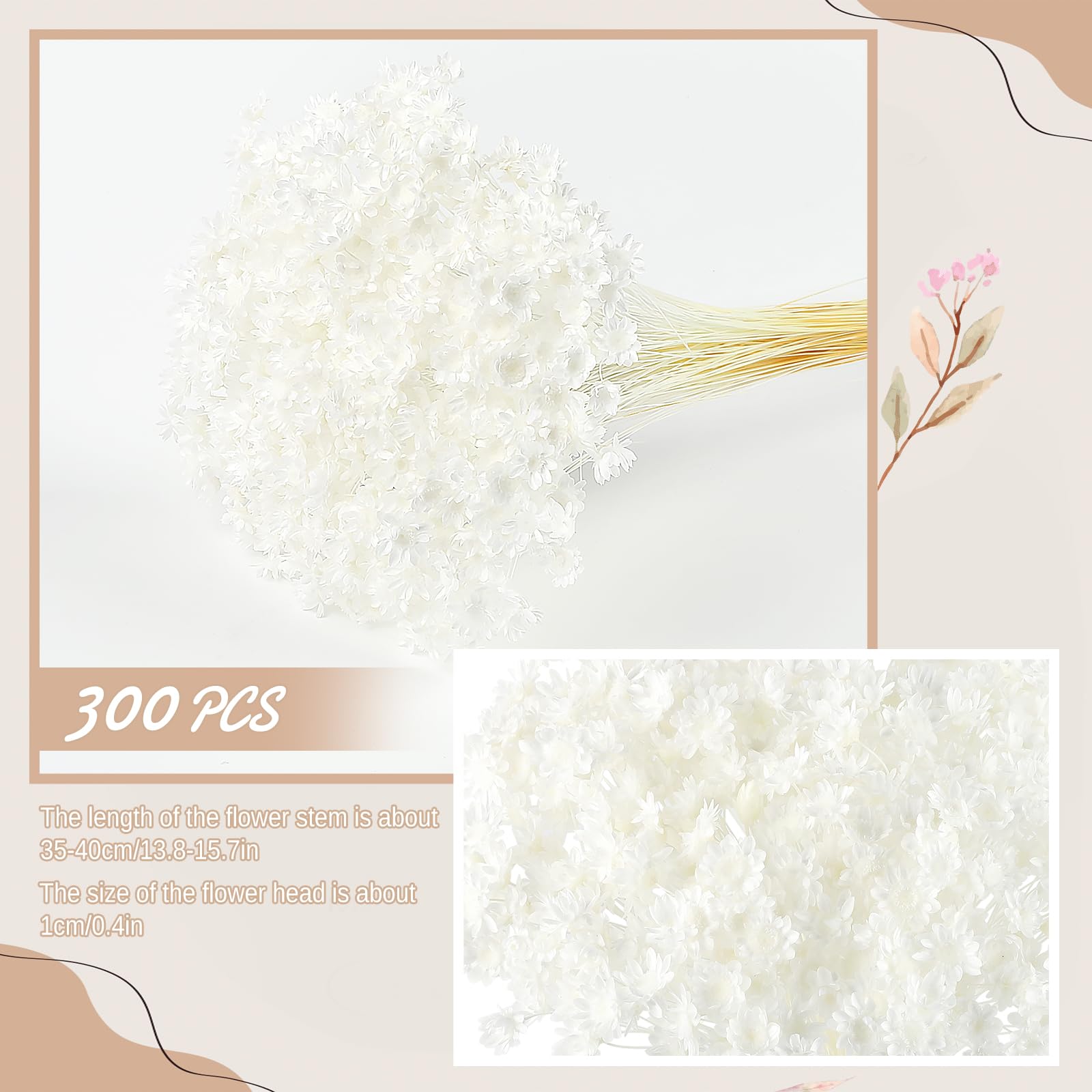 Larber 300 PCS Dried Flowers Brazilian White Small Starflower Flowers Mini Dried Flower Bouquet Daisies Mini Chamomile Flower Bouquet for Flower Arrangement Wedding (Snow-White) - Image 2