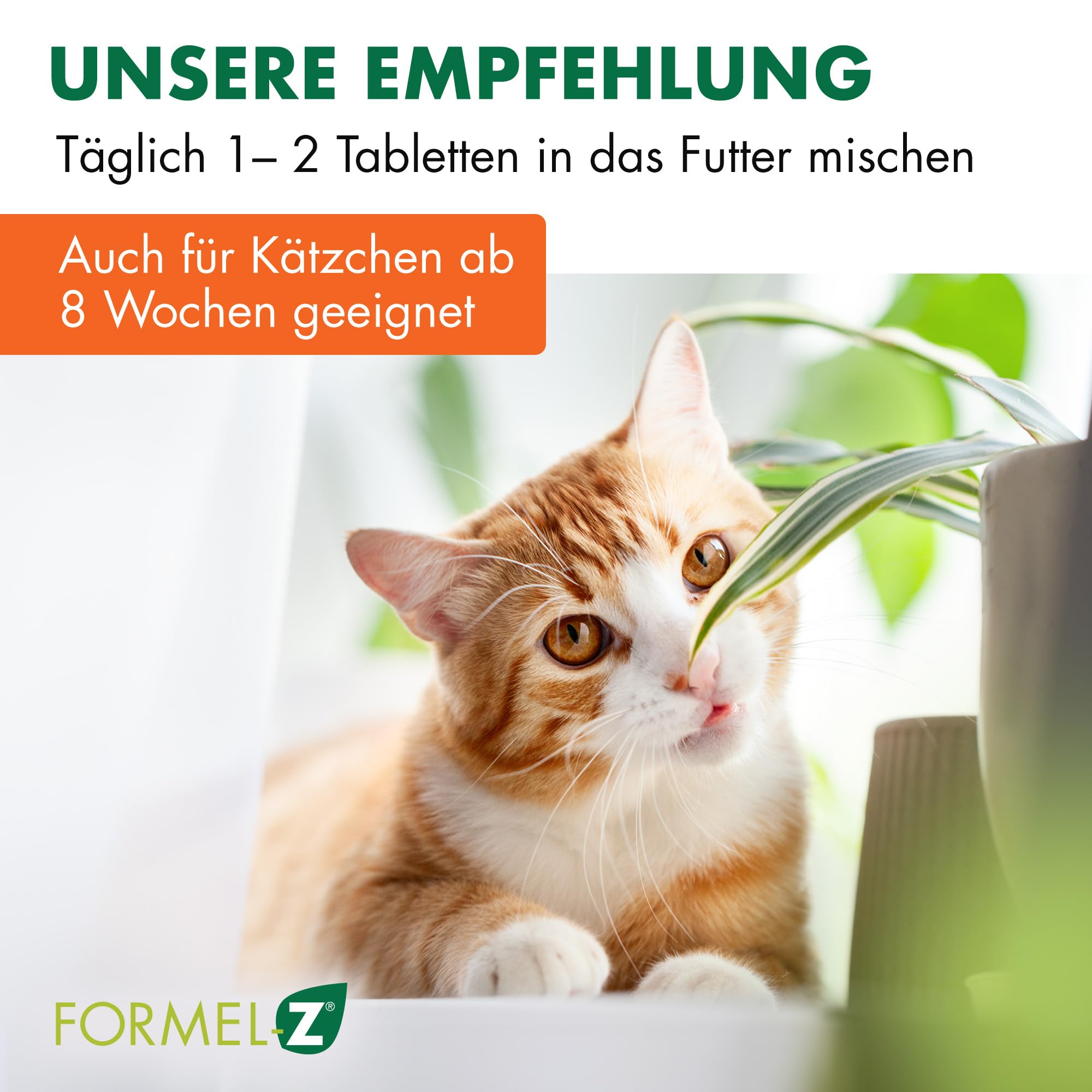 Biokanol Formel Z - Ergänzungsfuttermittel für Katzen 1 can