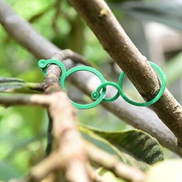 100 Pcs Plant Clips,Plant Clips for Climbing Plants Clear,Garden Clips,Plastic Plant Clips Reusable Garden Clips for Climbing Plants Outdoor,Tomato Plant Support Vine Clips Plant Flower 100pcs