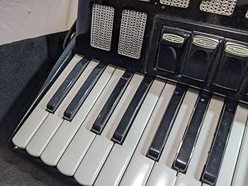 TOMBO トンボ アコーディオン J-48 Accordion ハードケース付 TOMBO トンボ アコーディオン J-48 Accordion ハードケース付