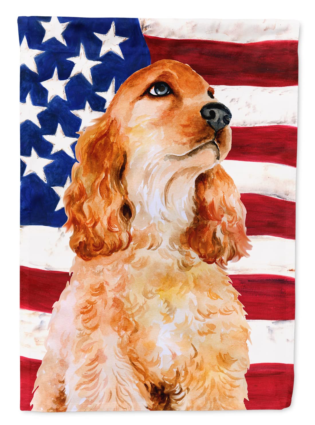 Tesori Dell'Caroline Bandiera Decorativa Esterna Cavalier Spaniel Patriottica, Multicolore, In Poliestere Tela