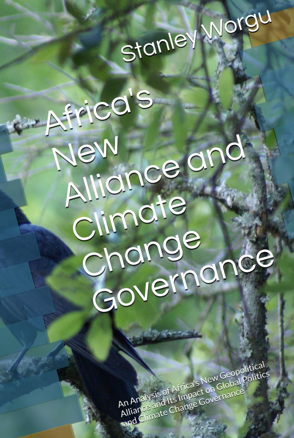 Africa's New Alliance and Climate Change Governance: An Analysis of Africa's New Geopolitical Alliance and Its Impact on Global Politics and Climate Change Governance