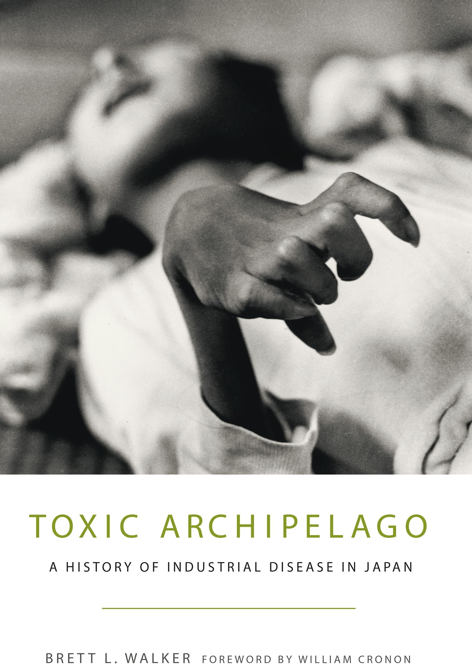 Toxic Archipelago: A History of Industrial Disease in Japan (Weyerhaeuser Environmental Books)