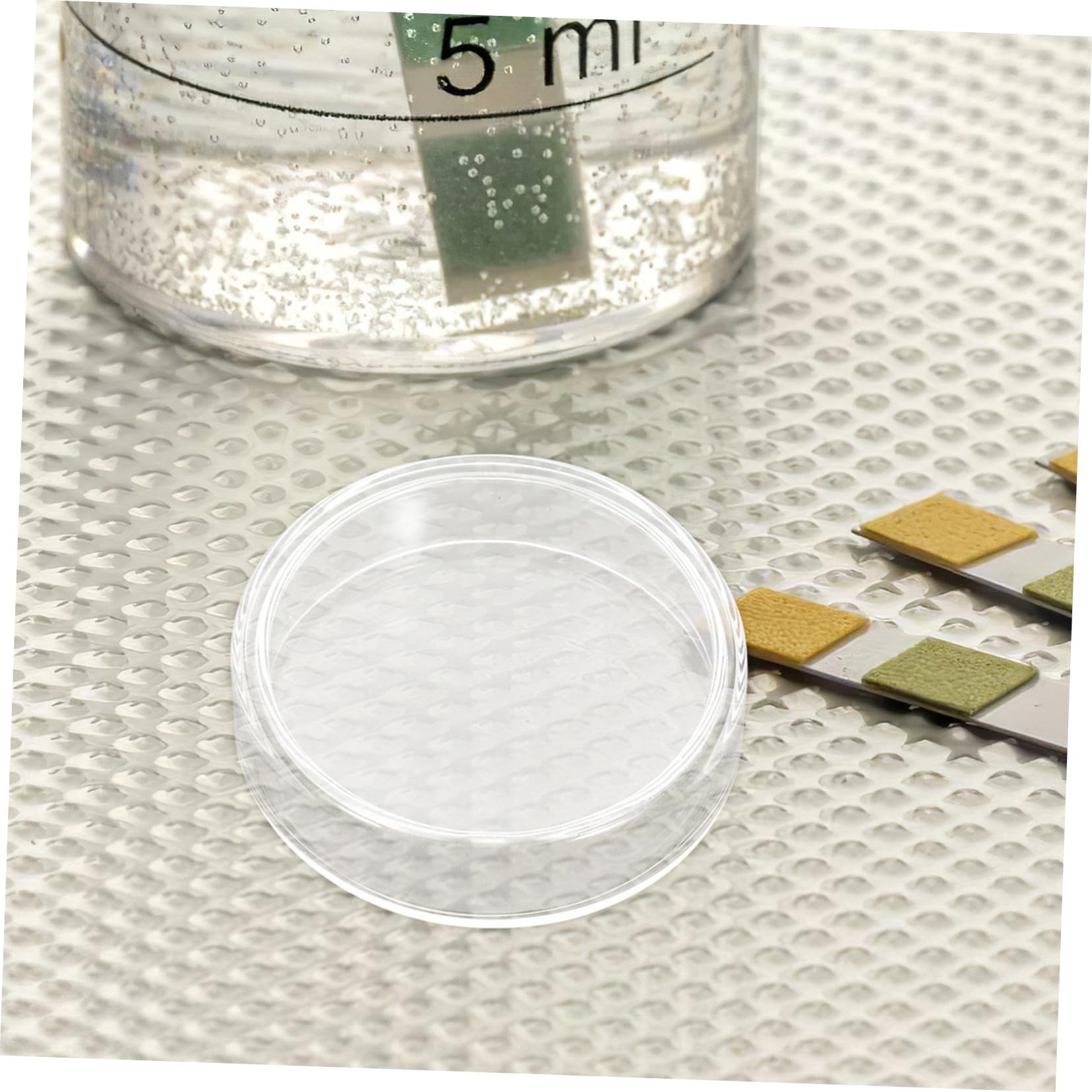 SHINEOFI 10stücke Petrischalen mit Deckel aus Glas für Labor und Mikrobiologische Anwendungen Sterile Nähragar-platten für Experimente und Kultivierung