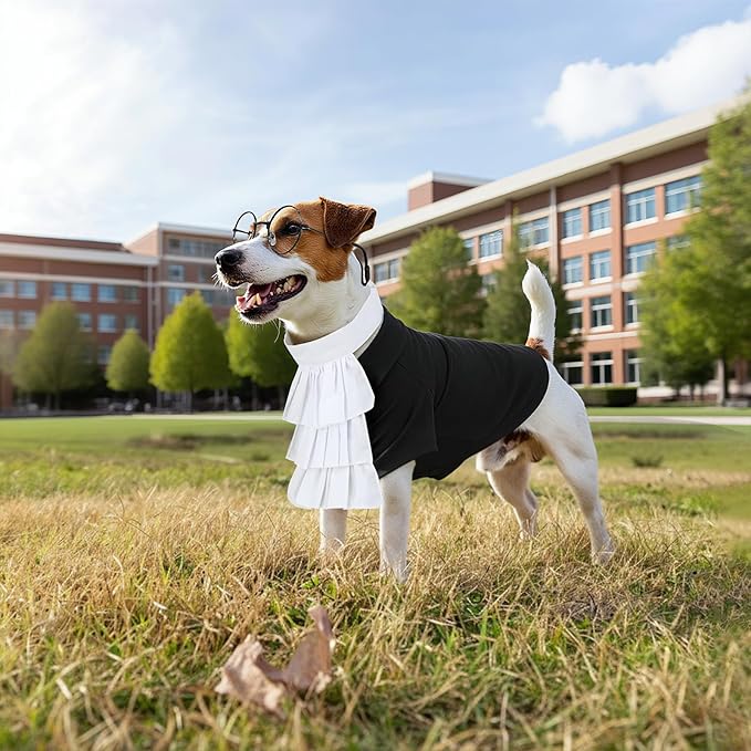 Disfraz de Juez para Perro - Toga, Collar, Gafas y Cuerda - Talla M miniatura 7