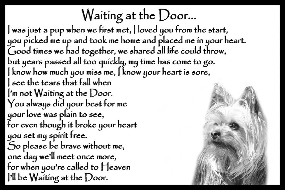 Yorkshire Terrier pet Loss Memorial Bereavement Gift - Waiting at The Door