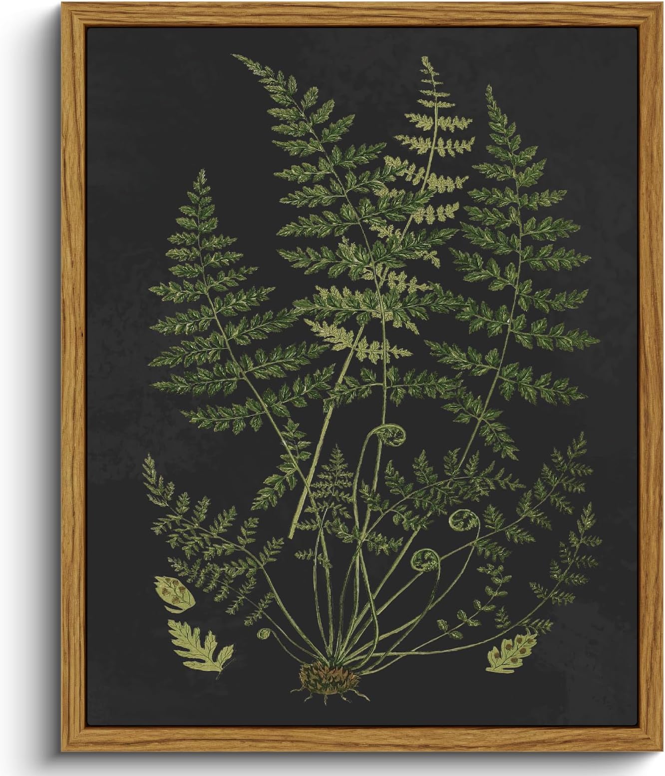 VIYYIEA Framed Canvas Wall Art Home Decor Minimalist Botanical Print Boho Pictures for Rustic Vintage Farmhouse Artwork Bedroom Bathroom House Decor Kitchen Wall Decor 8x10in 8x10in