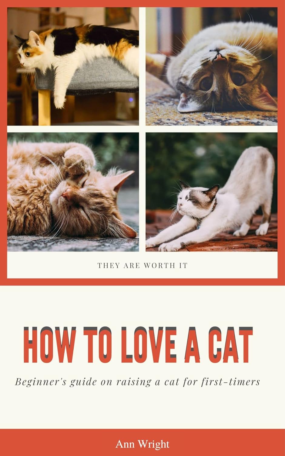 How to Love a Cat Beginner's Guide on Raising a Cat for First Timers