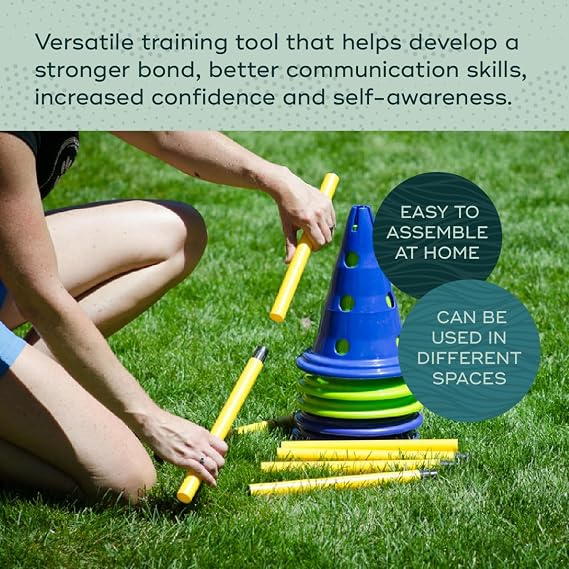 FitPAWS Ball Dynamics CanineGym Agility Kit