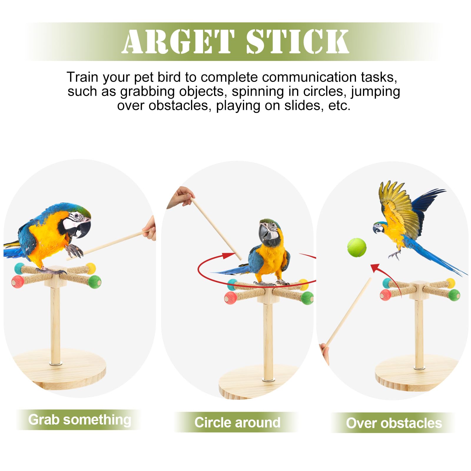 3-teiliges Vogel-Trainingsständer-Set, Papageien-Trainings-Clicker, tragbare Tisch-Vogelstange und Zielstab, Holz-Sitzstange mit Handschlaufe für Sittiche, Sittiche, Sittiche, Sittiche, Sittiche