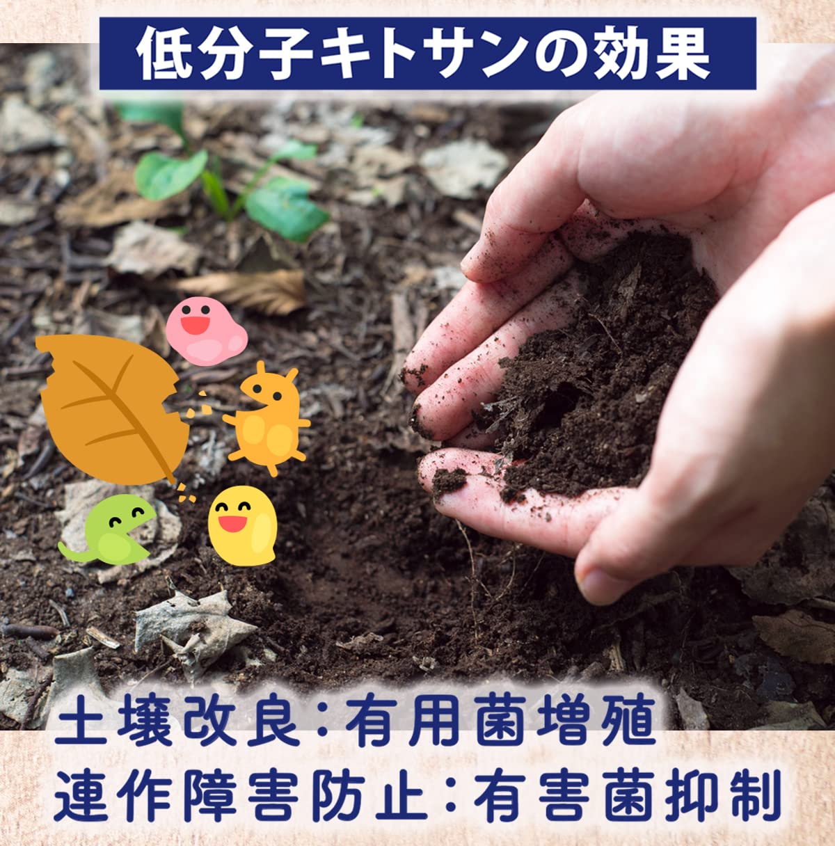 いのちを救うキトサン大薬効 水溶性キトサン でガンからうつ病まで克服！ 林 義人 Amazon.co.jp: ガンが治っているから水溶性キトサン-43人の証言