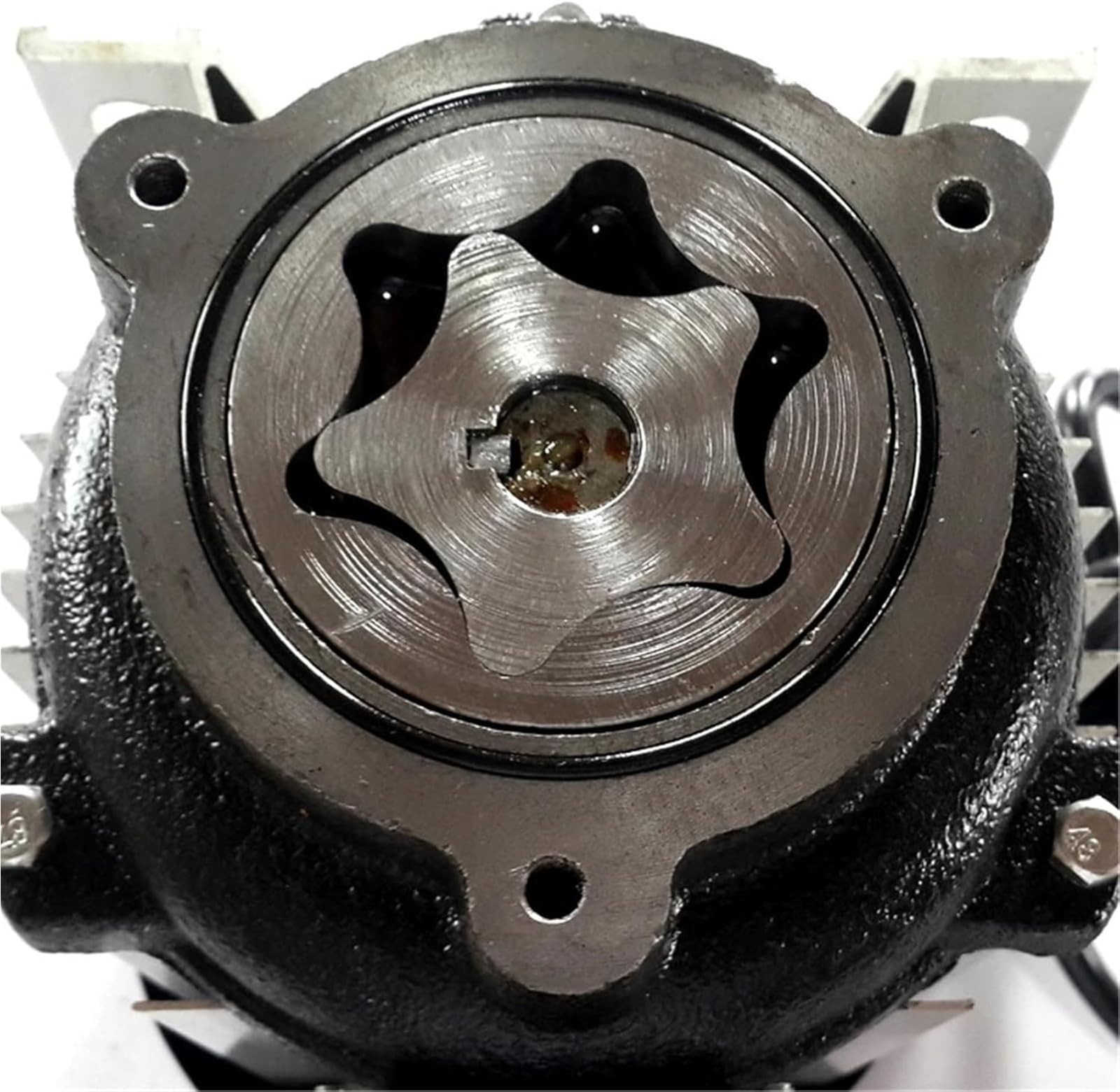 Pompe for acque reflue/effluenti 220V 750W Pompa elettrica autoadescante for Il Trasporto di Olio for Ingranaggi/Olio Diesel Macchina riempimento 40L