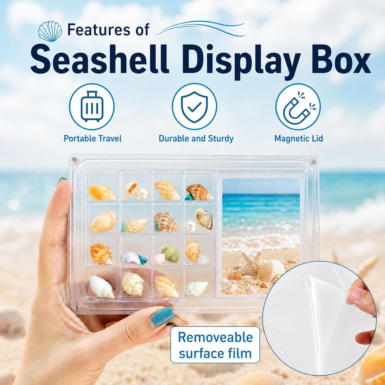 Acrylic Seashell Display Box with Picture Frame Clear Sea Shell Display Box Transparent Magnetic Organizer Beach Shelling Collective image 5