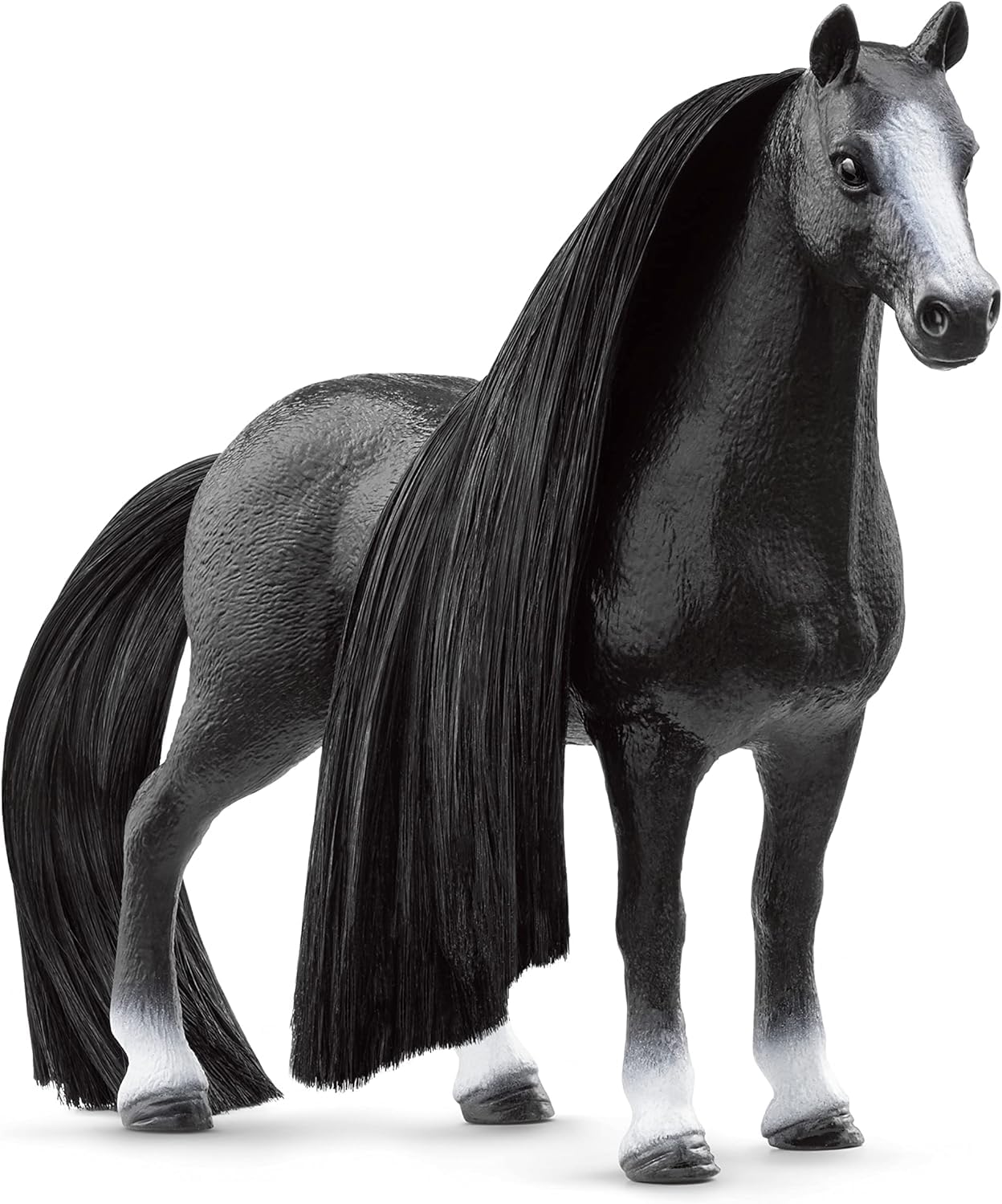 Piękna Klacz Rasy Quarter Horse
