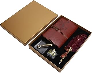 Conjunto de canetas-tinteiro antigas para canetas-tinteiro de penas, conjunto de garrafas de tinta, diário, caderno, papelaria, caixa de presente (1), caderno de couro retrô com caneta pena, material de escritório