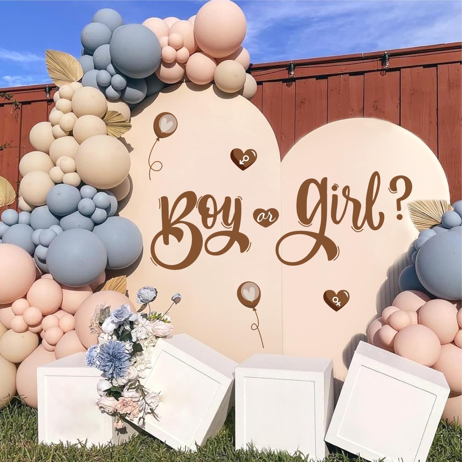 Gender Reveal Party Decoration, Boy Or Girl Lettre Bannièrel
