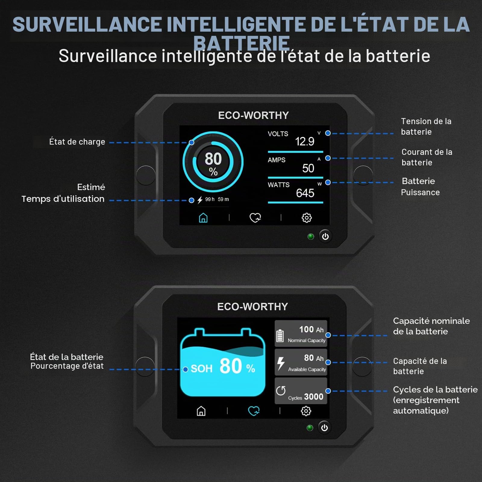 ECO-WORTHY Moniteur de Batterie 300A avec Capteur Hall, Moniteur de Batterie 9-80V pour Batterie Li-ion/LiFePO4/AGM/Gel dans Système Solaire/Chariot/RV
