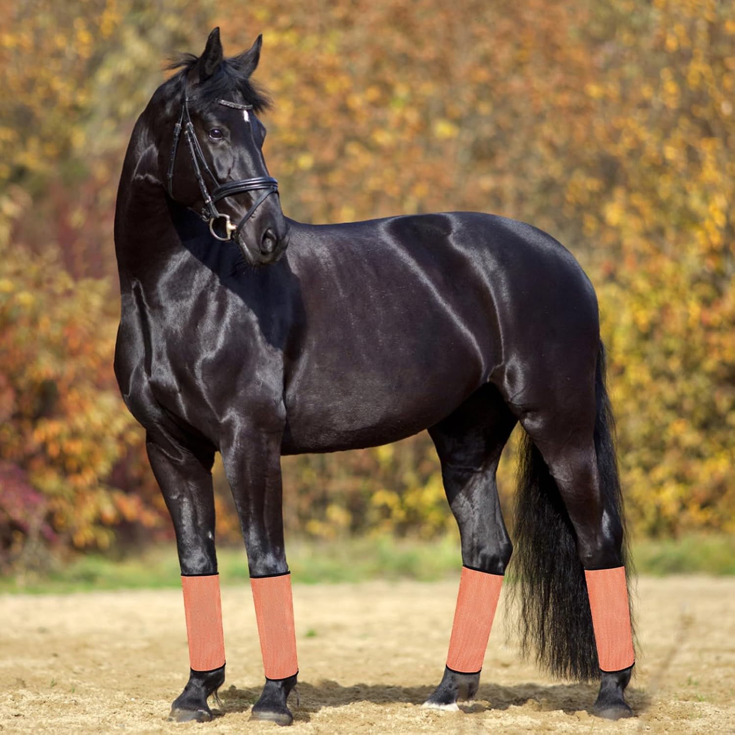 4pcs Horse Fly Boots: Breathable Mesh Leg Wraps - Cooling Sleeves with Quick Off/On Design for Pasture Paddock Mosquito Fly Protection Grey