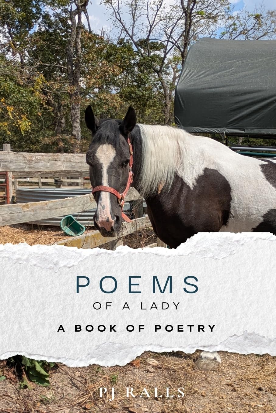 Poems of a Lady: A Book of Poetry