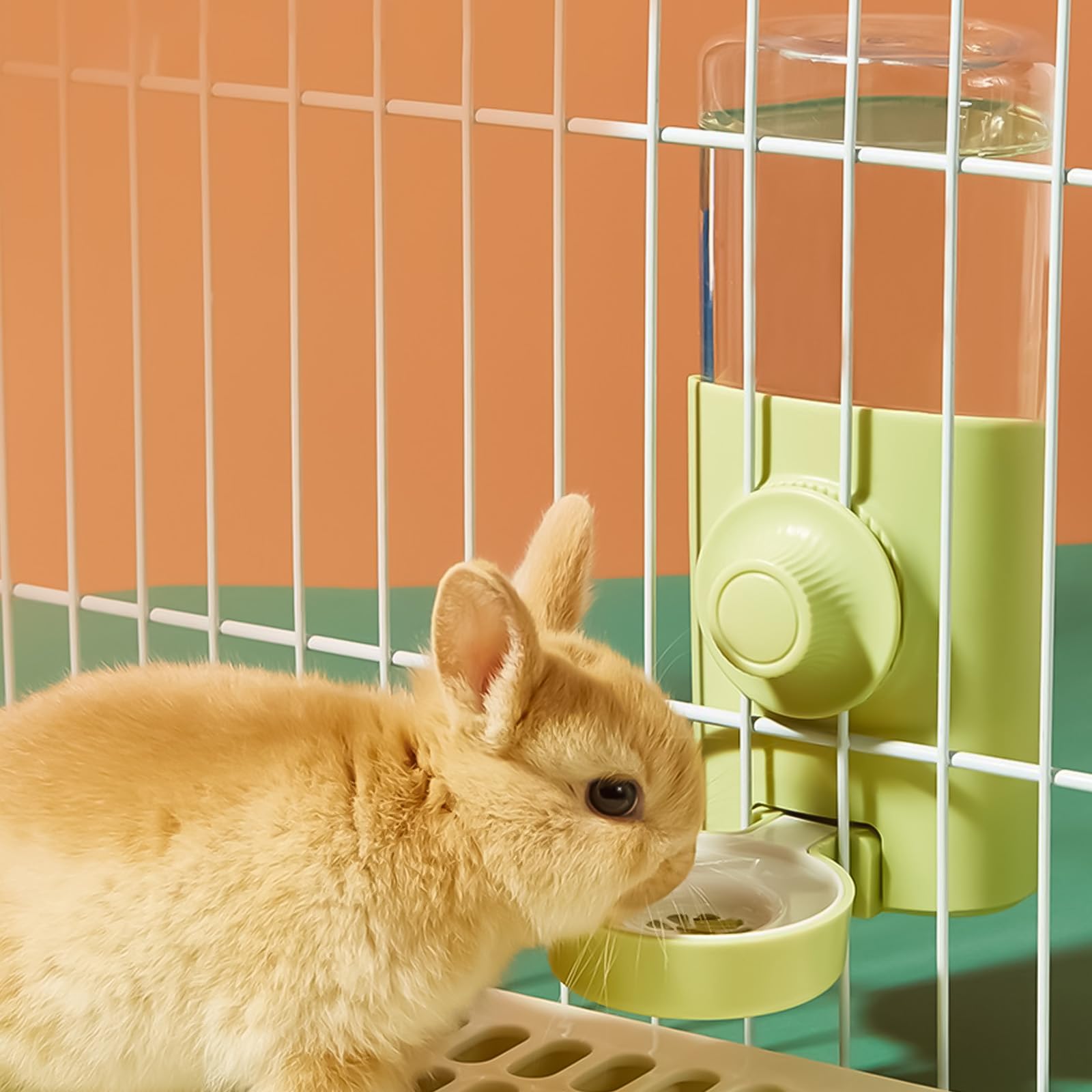 Xinlie automatyczny dozownik wody dla królików i małych zwierząt, 600 ml, zasilany grawitacją