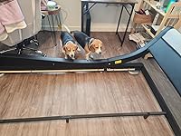 Review Image by Daniel & Brenda L. Daniel & Brenda L.