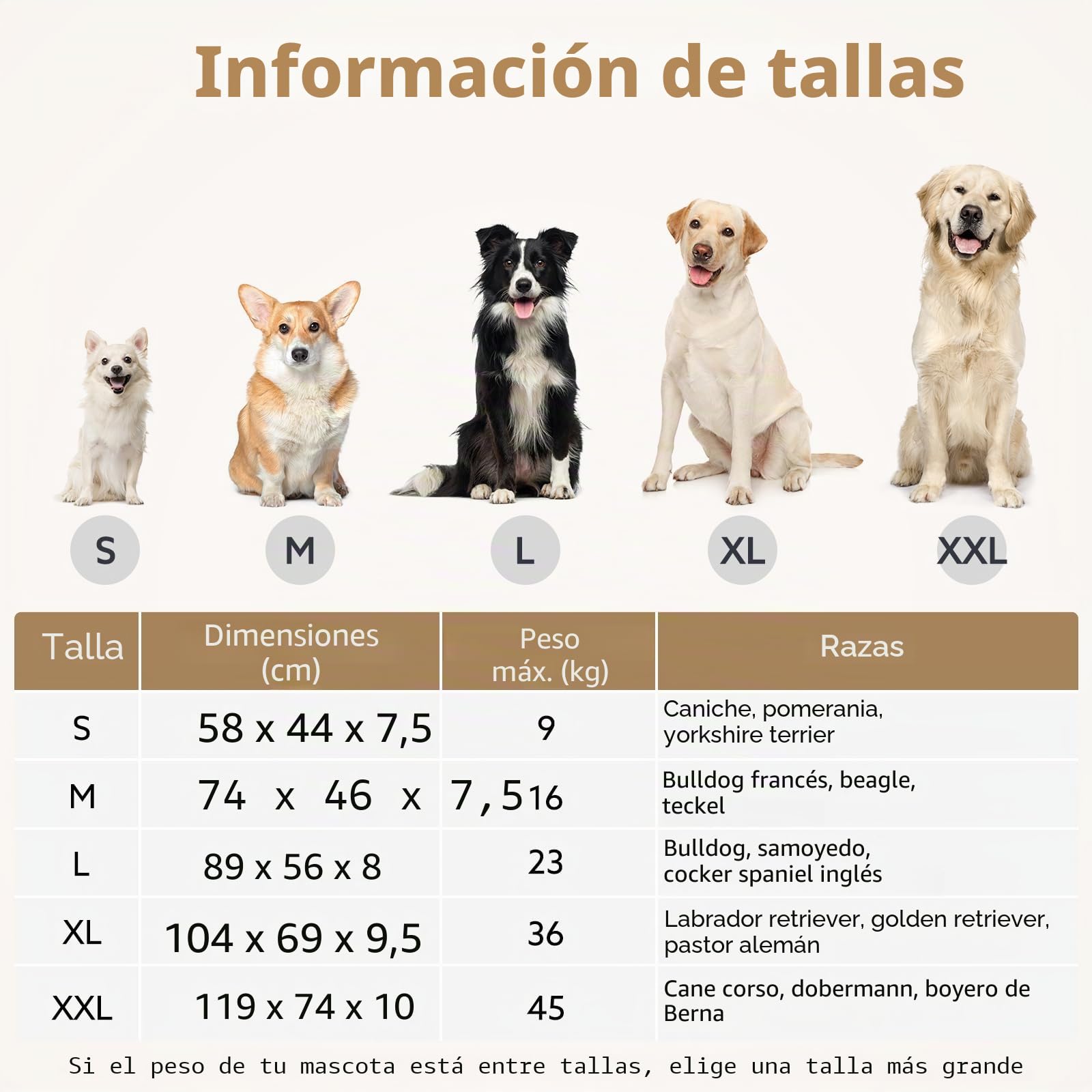 JOEJOY Cama ortopédica para perros grandes XXL, lavable y mullida, colchón para perros grandes, parte inferior antideslizante, 120 x 74 x 9 cm, color gris oscuro
