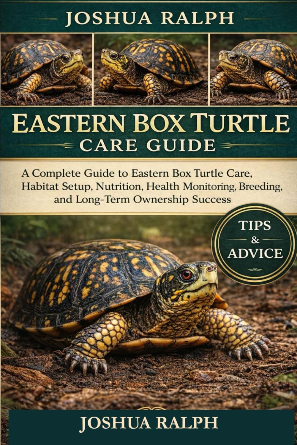 EASTERN BOX TURTLE CARE GUIDE: A Complete Guide to Eastern Box Turtle Care, Habitat Setup, Nutrition, Health Monitoring, Breeding, and Long-Term Ownership Success