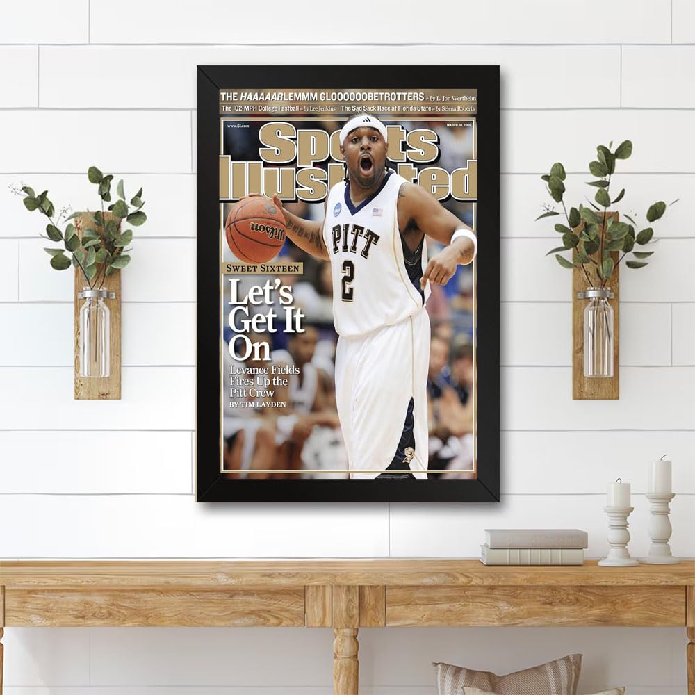 GADGETS WRAP Printed Photo Frame Matte Painting for Home Office Studio Living Room Decoration (11x14inch Black Framed) - Pittsburgh Levance Fields