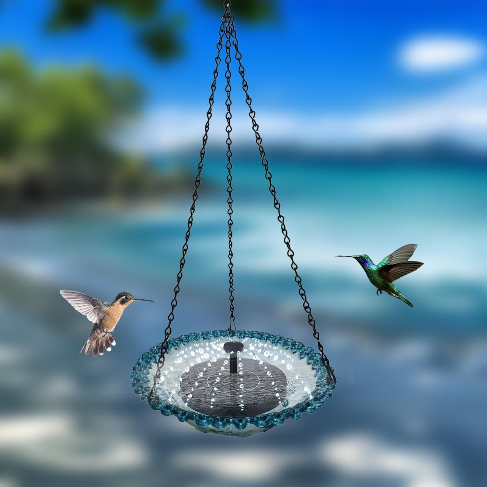 Perky Pet 455-2 Mangeoire En Verre Pour Colibri Fixation Sur Fenêtre