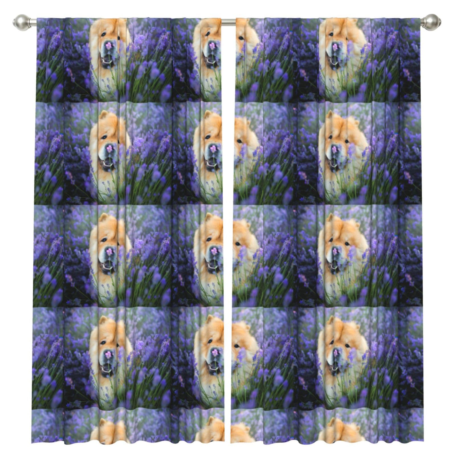 InOmak Chow-Chow Sweet Fluffy Brown Dogs Purple Wild, 2 Panels Window Curtains 52 x 84 Inch Blackout Curtains for Living Room Bedroom