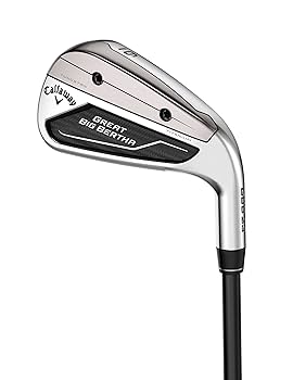 Amazon.co.jp: Callaway Golf Great Big Bertha レディース 個別