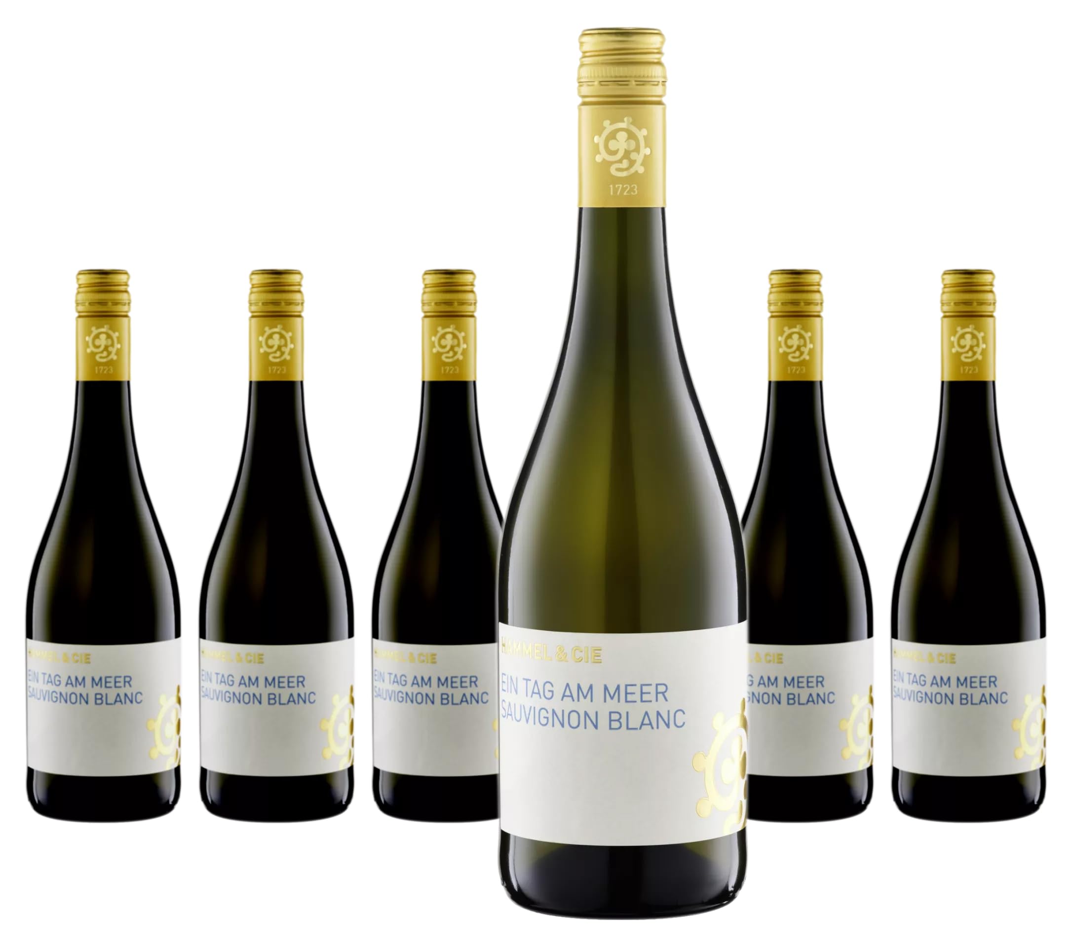 Weingut Hammel Sauvignon Blanc Ein Tag am Meer trocken - Weißwein aus der Pfalz - 6 x 0,75L