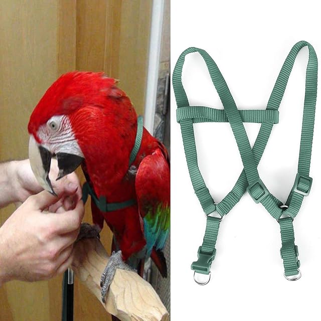 Foto 3 de 7 de Nicoone Arnés Ajustable para Loros y guacamayos, Talla L Verde