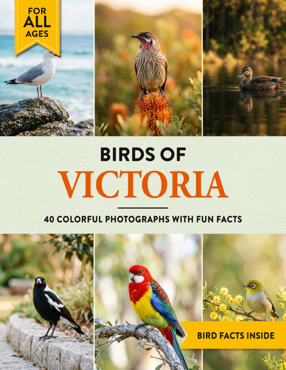 Birds of Victoria: A Birdwatching Picture Book with Fun Facts and Photography for Kids, Adults & Birders
