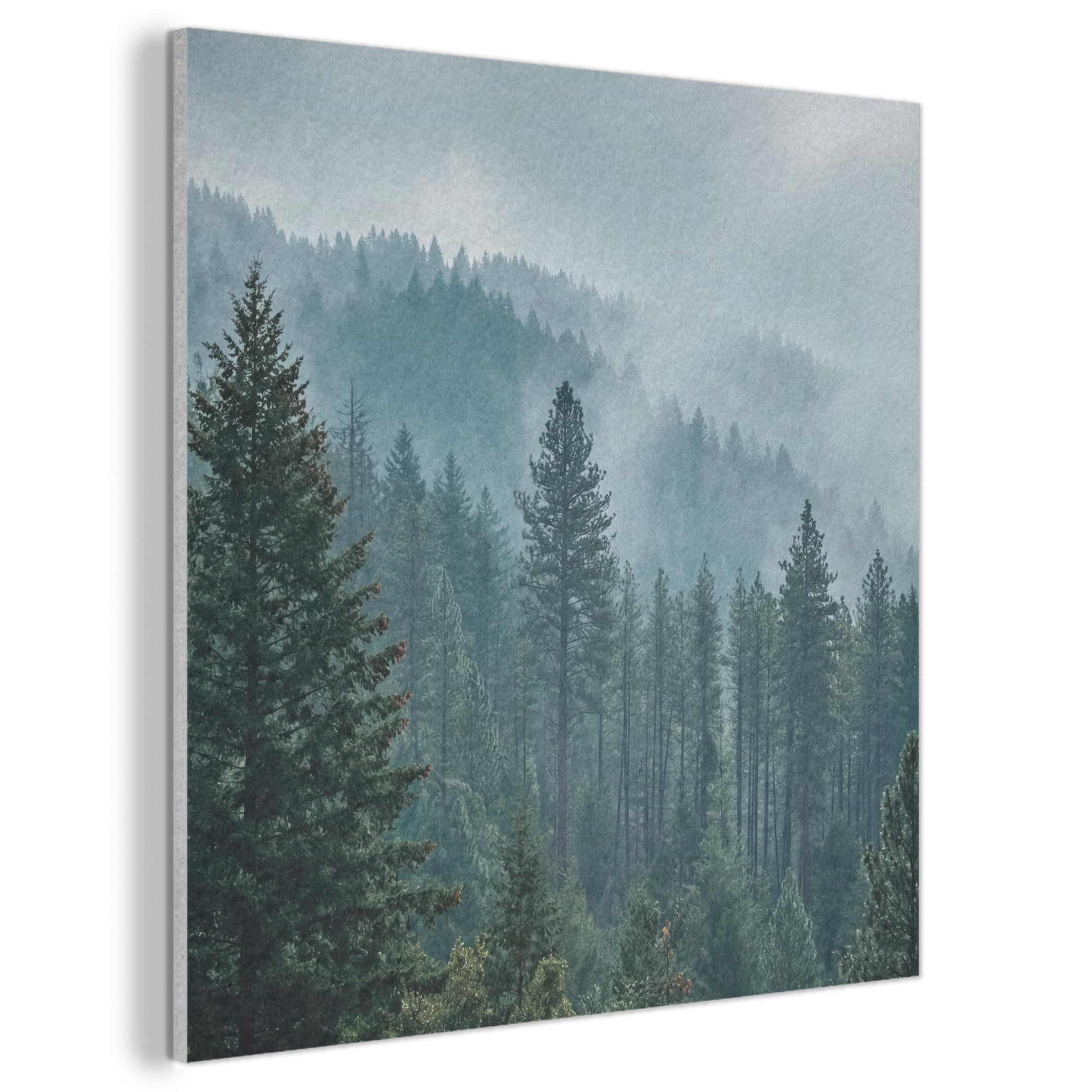 MuchoWow© Felt Panel 50x50 cm House Touch for Living Space Modern Visuals Decoration Wall Art Naaldwoud - Bergen - Mist