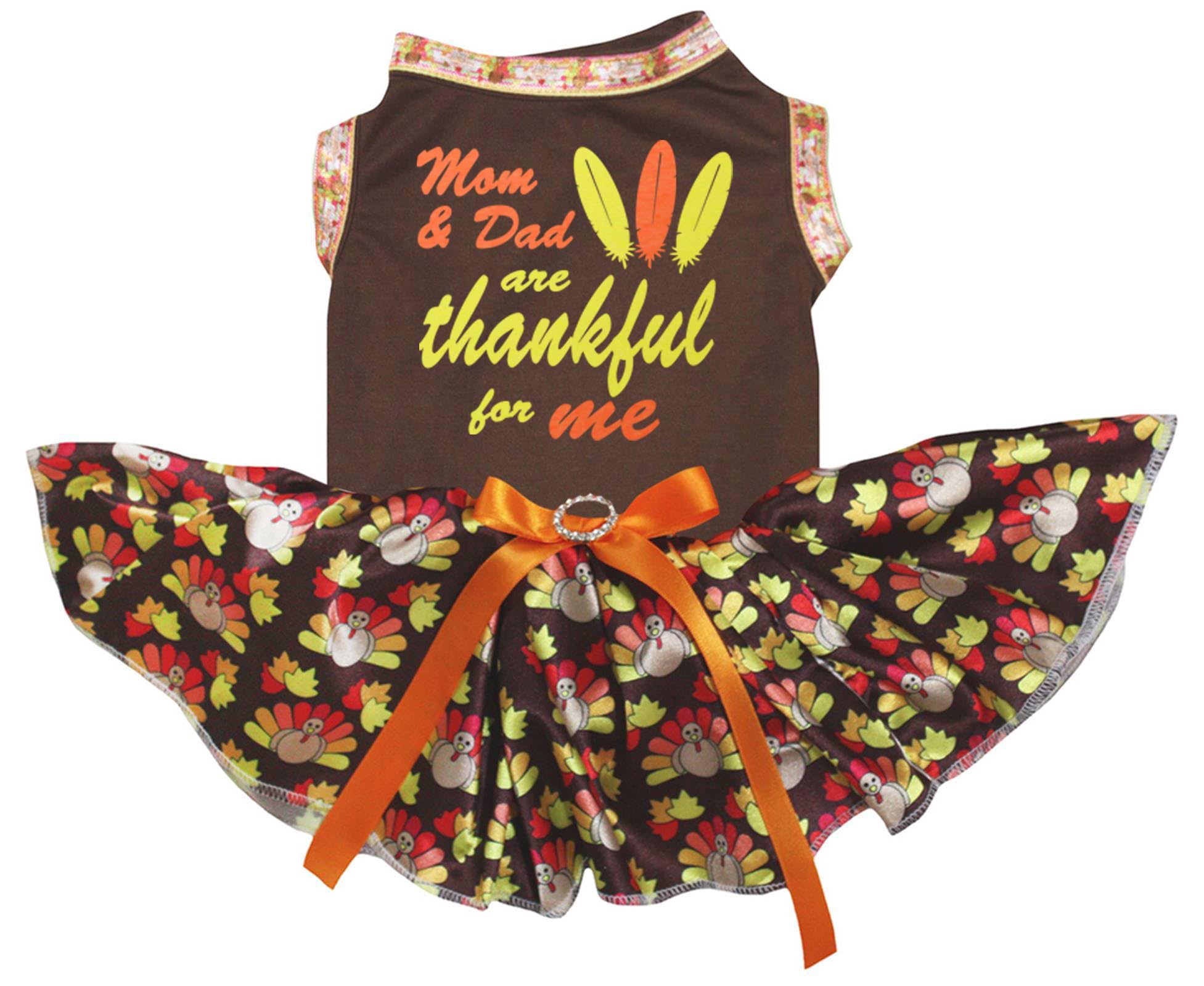 Robe pour chien festive marron pour partager les fêtes en famille