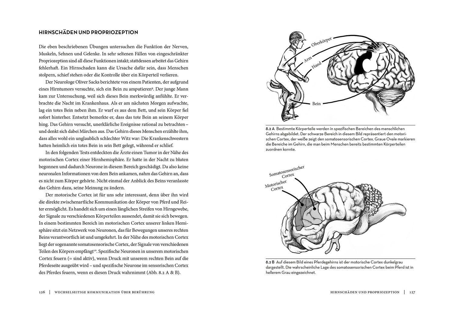 Horse Brain, Human Brain: Erkenntnisse aus der Neurowissenschaft - Wie Pferd und Mensch denken, fühlen, handeln