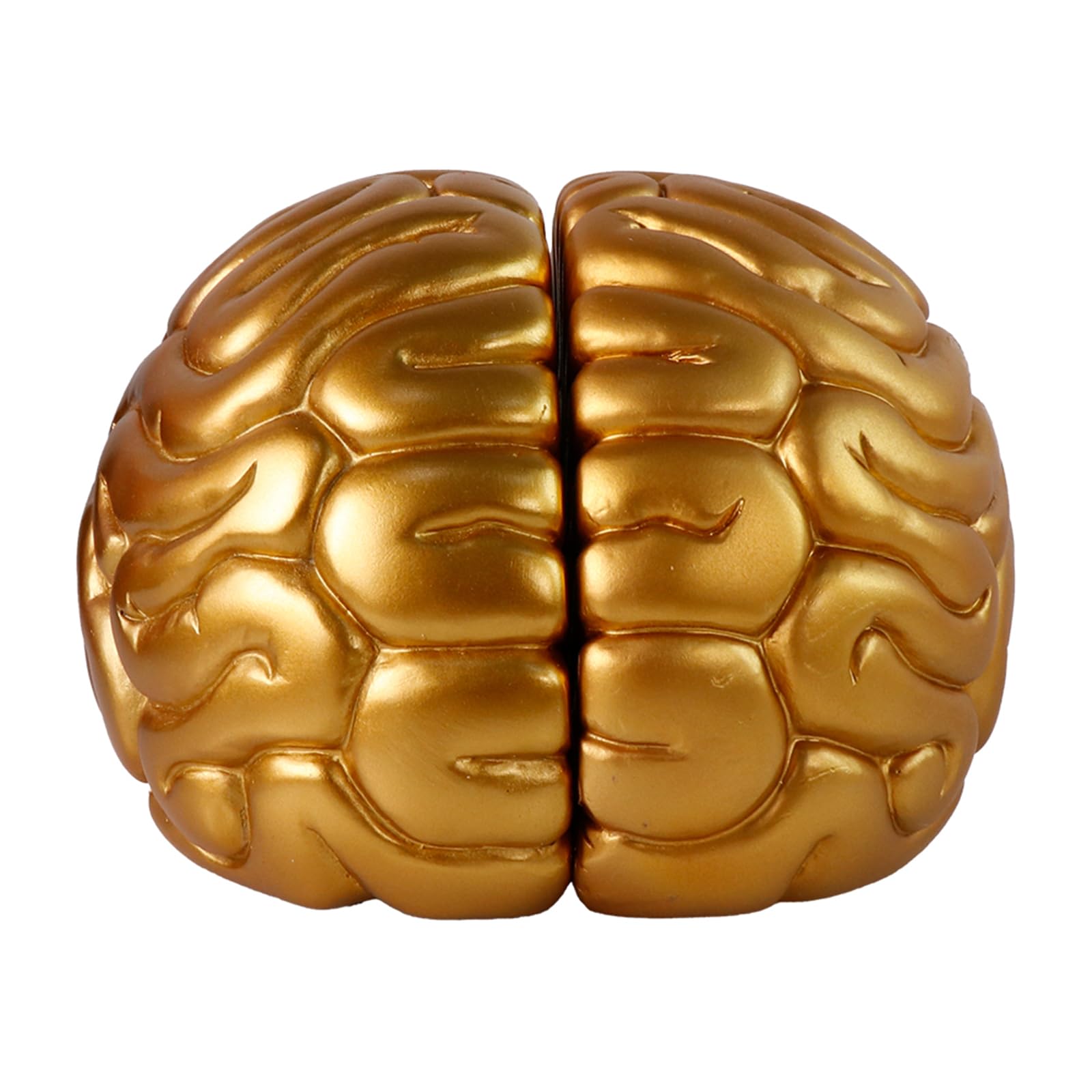 Brain Bookends Office Decorative Bookends for Shelves Heavy Bookends Book Stoppers Book Holders for Desk Decoration (Gold)